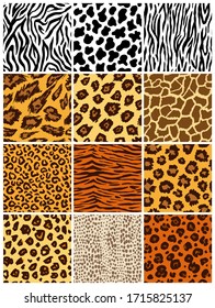Animal seamless pattern set. Mammals Fur. Collection of print skins. Predators Camouflage. Cheetah Giraffe Zebra Leopard Holstein cattle Snake Jaguar. Printable Background. Vector illustration.