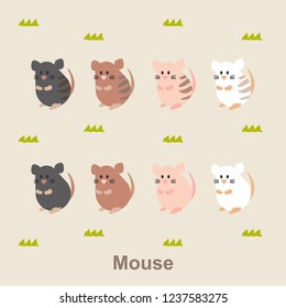 Animal series, the cute mouse with four spot colors.