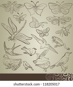 animal set