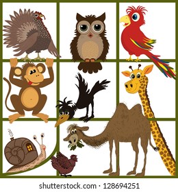 Animal set