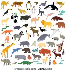 Animal set