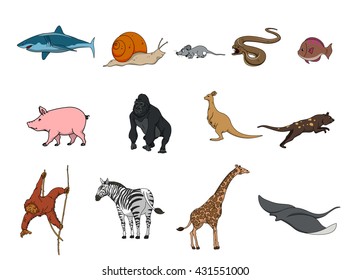animal set
