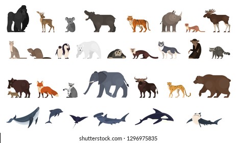 Animal set. Collection of exotic and wild animals and ocean creature. Elephant, monkey and bear. Global fauna. Isolated vector illustration in cartoon style