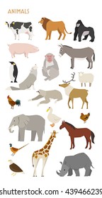 animal set vector illustration wildlife in jungle