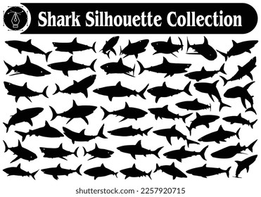 Animal Shark Silhouette Vector Collection