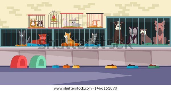 Animal shelter, pet shop flat vector illustration.\
Adoption center for stray and homeless pets. Cute cats, lonely\
dogs, guinea pigs, small hamster, bunnies and parrot in cages.\
Veterinary clinic