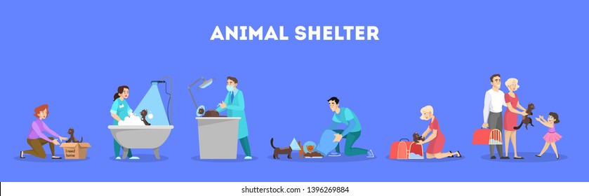 Animal shelter set. Homeless cat in the box. Idea of pet adoption. Volunteer feed animal. Isolated vector cartoon illustration