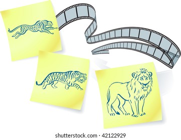 animal show