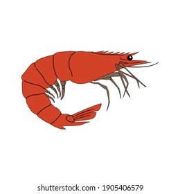 animal shrimp fill line icon vector illustration