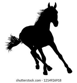 Animal silhouette of black mustang horse illustration