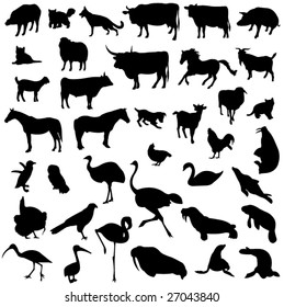 Animal silhouette contour
