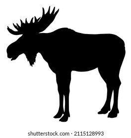 animal silhouette moose vector illustration