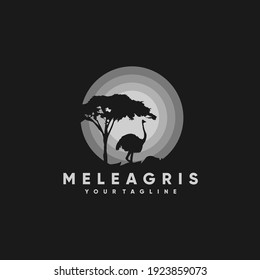 Animal Silhouette Vector Illustration Logo Designs, Ostrich Logo, Sunrise and sunset. Landscape wallpaper. Illustration vector style. Colorful view background