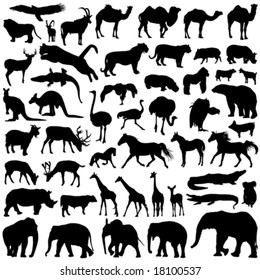 animal silhouettes