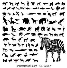 Animal silhouettes