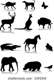 animal silhouettes