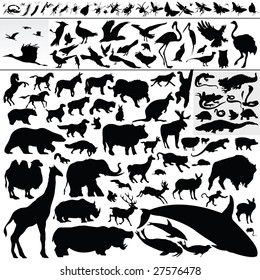 animal silhouettes