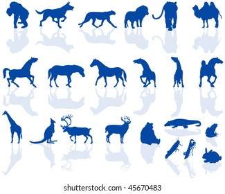 Animal silhouettes