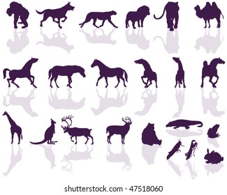 Animal silhouettes