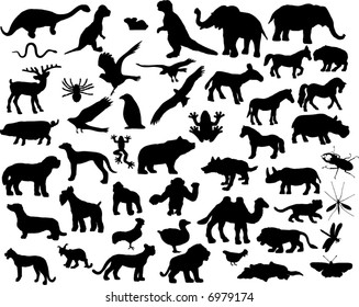 animal silhouettes