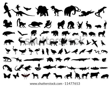 Animal silhouettes