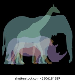 animal silhouettes, savannah, africa, elephant, rhinoceros, giraffe, panther, on a black background
