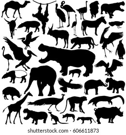 Animal Silhouettes Set Isolated On White Background. 