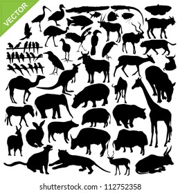 Animal silhouettes vector