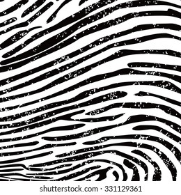 animal skin background pattern - grungy zebra