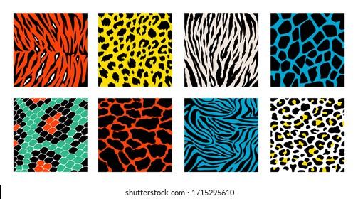 Animal skin background pattern vector set. Safari textile collection. Giraffe, zebra, leopard, jaguar.  Animal backgrounds for textile design, wrapping paper, prints.