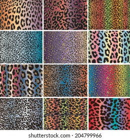 Animal skin fur vector pack leopard zebra