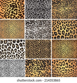 Animal skin fur vector pack leopard zebra