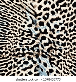 animal skin leopard pattern