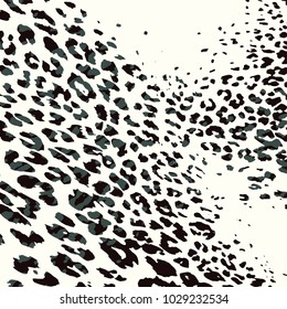 animal skin leopard pattern in vector