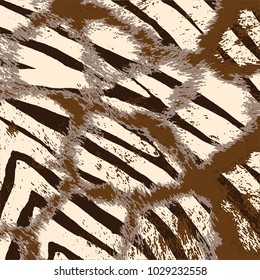 animal skin leopard pattern in vector