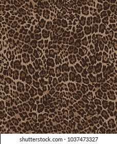 Animal skin leopard pattern in vector