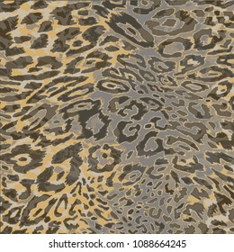 animal skin leopard pattern in vector