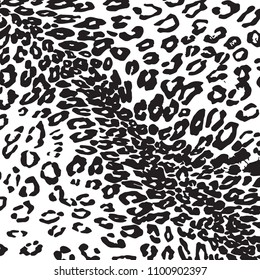 animal skin leopard pattern in vector