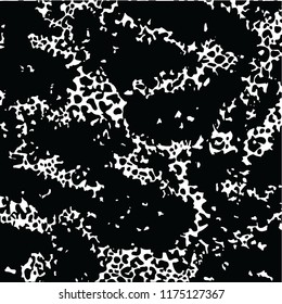 animal skin leopard pattern in vector