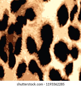animal skin leopard pattern in vector