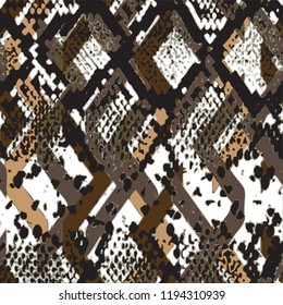 animal skin leopard pattern in vector