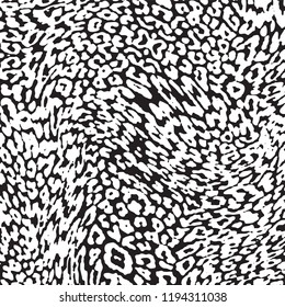 animal skin leopard pattern in vector