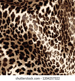 animal skin leopard pattern in vector