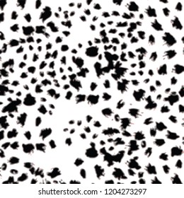 animal skin leopard pattern in vector