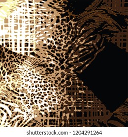 animal skin leopard pattern in vector