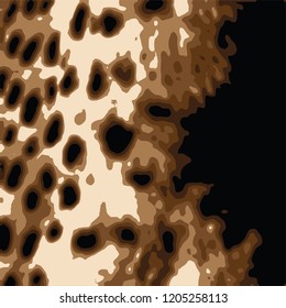 animal skin leopard pattern in vector