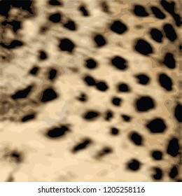 animal skin leopard pattern in vector