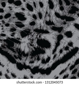 animal skin leopard pattern in vector 