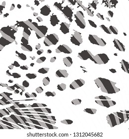 animal skin leopard pattern in vector 