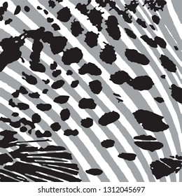 animal skin leopard pattern in vector 